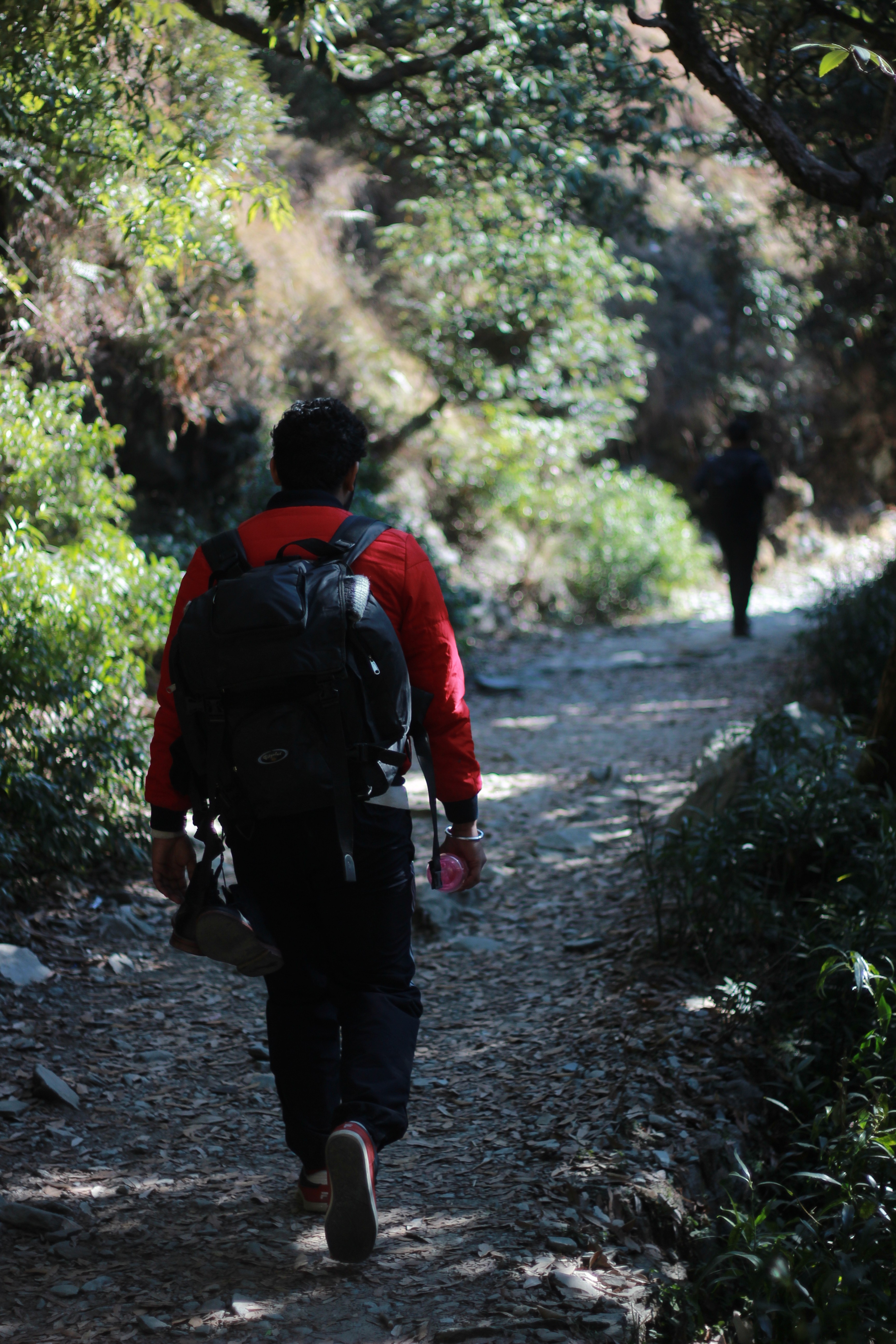 Starting the Trek